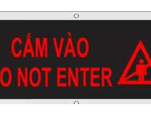 Cam Vao.png